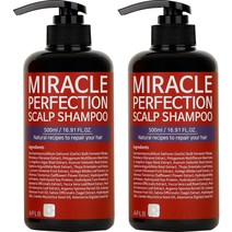에이플비 미라클 퍼펙션 스칼프 두피 샴푸 플라워향, 500ml, 2개