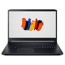 에이서 2019 컨셉D 5 프로 17.3, 블랙, 코어i7 9세대, 2048GB, 32GB, WIN10 Pro, CN517-71P