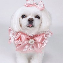 팝앤퍼피 반려동물 러브에블린 케이프 L, 핑크, 1개