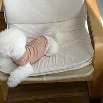 매그독 강아지 베베 도트 민소매, BEIGE