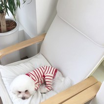 매그독 강아지 볼드 올인원, RED