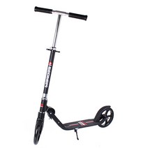 스위스비기뉴 접이식 킥보드, 블랙