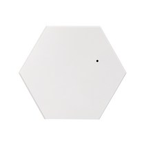 라온 휴대용 헥사곤 칫솔 살균건조기 RNS-250, 화이트