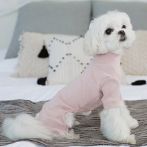 파스텔독 강아지 러브아이 골덴 올인원, 핑크
