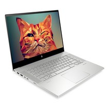 HP 2020 ENVY 15.6, 내츄럴 실버, 코어i5 10세대, 256GB, 16GB, WIN10 Home, 15-EP0093TX