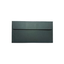 티켓형 상품권 축의금 밍크지 용돈봉투 175 x 85 mm, 블랙, 100개