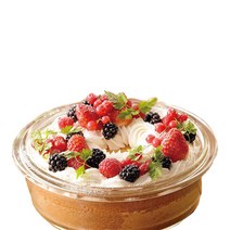 이와끼 내열유리 스폰지 케이크틀, 1개