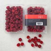 산지직송 푸드베이스 산딸기, 250g, 2팩
