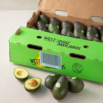 돌 미국산 아보카도, 5.5kg, 1박스