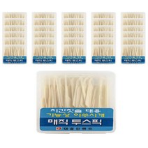 매직투스픽 치간칫솔 대용 이쑤시개 0.3mm, 40개, 20개입