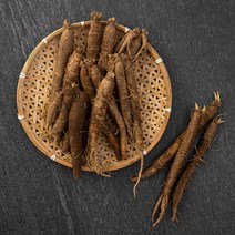 강원도 고랭지 굿향 햇더덕, 650g, 1개