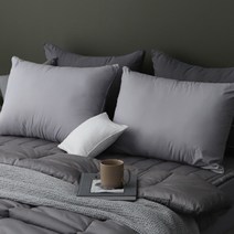 슬립온 통째로 빨아쓰는 베개 2p, 그레이