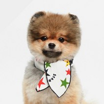 에이미러브즈펫 반려견 폼스카프 S, 팝스타, 1개