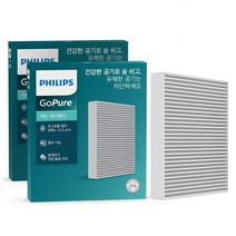 필립스 고퓨어 차량용 에어컨필터, D0121, 2개