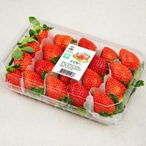 광식이농장 GAP 인증 광식이네 금실 딸기, 500g, 1팩