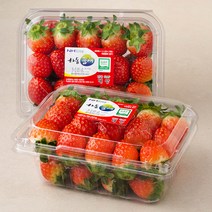 산지직송 하동품애 GAP 설향딸기(상), 500g, 2팩