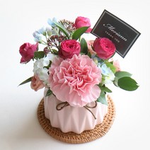 모리앤 생화 핑크빛사랑 센터피스 꽃화분, 혼합색상, 1개