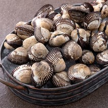 백미리 산지직송 살이꽉찬 왕특대 새꼬막, 1kg, 1개