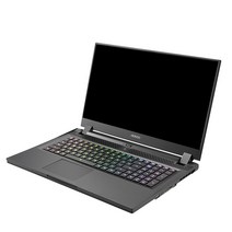 기가바이트 2022 노트북 17.3, 블랙, GIGABYTE17G KDH, 코어i7 11세대, 512GB, 16GB, WIN10 Home