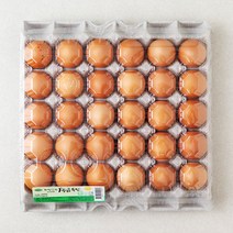 자연애찬 무항생제 인증 자연애란 1등급 특란 30구, 1800g, 1개