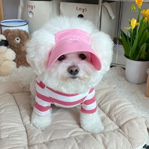 바이담수미 강아지 크레용 썬캡모자, 핑크