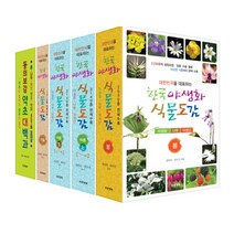 한국 야생화 식물도감 동의보감 약초 대백과 세트 전5권, 정연옥, 정숙진, 곽준수, 성환길, 푸른행복