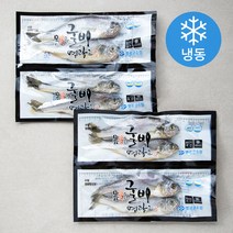 영광군수협 몸애 좋은 굴비 (냉동), 640g(8미), 1개