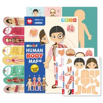 아리아띠 아띠노리 휴먼 바디 맵 자석퍼즐, 1개, 75피스