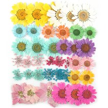 프레스코21 압화 종합팩, K129, 1개