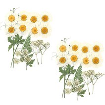 프레스코21 압화 종합팩, K105, 2개