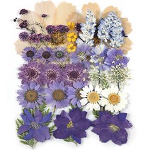 프레스코21 압화 종합팩, K128, 1개