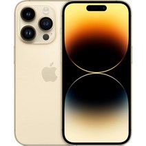 Apple 정품 아이폰 14 Pro Max 자급제, 골드, 256GB