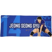 삼성화재 플레이어 일러스트 페이스타월 정성규, 파랑