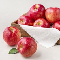 산지직송 저탄소 인증 빨간사과, 2kg(11~14입), 1개