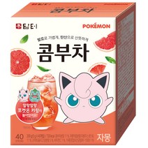 담터 포켓몬 콤부차 자몽, 5g, 40개