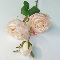 주앙오브제 로제 장미 조화 3p, 03 연인 장미 크림 핑크