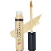 로쎄앙 쿼드시카 리퀴드 픽스 컨실러 9.5g, 1개, 02호 베이지 + 블랙