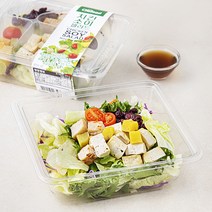 쉐푸드 치킨 소이 샐러드, 163g, 2개