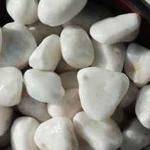 네이처굿즈 수아쿠아 백자갈 20~25mm 2kg, 1개