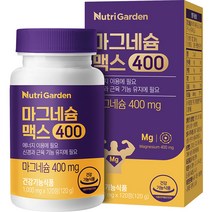 뉴트리가든 마그네슘 맥스400 120g, 1개