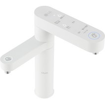 LG 퓨리케어 오브제컬렉션 듀얼 냉온정수기4년 무상 자가관리형 WU903AWB4Y0 방문설치