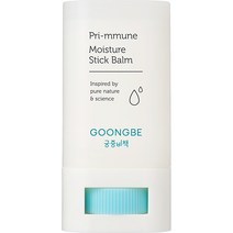 궁중비책 프리뮨 모이스처 스틱 밤 16g, 1개
