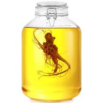 차이나다 다용도 밀폐 유리병, 5000ml, 1개