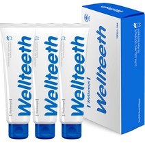 웰킵스 웰티스 쿨민트향 구취케어 잇몸치약, 100g, 3개