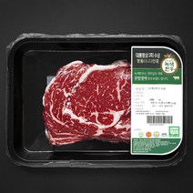 녹색한우 무항생제인증 1등급 등심 구이용 (냉장), 1개, 250g