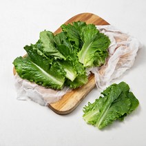 곰곰 GAP 아삭한 상추, 150g, 1개