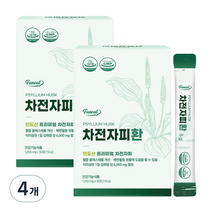 퍼니트 차전자피환 30p, 4개, 150g