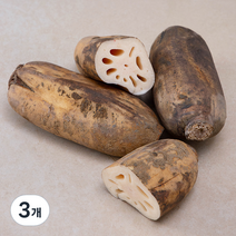 밀양 연근, 1kg, 3개