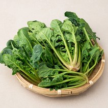 국내산 시금치, 300g, 1개 솔직 후기 및 장단점 분석 - 구매 가이드
