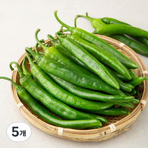 국내산 오이고추, 1kg, 5개
